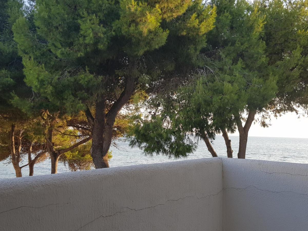 גאליפולי Appartamento La Caletta מראה חיצוני תמונה